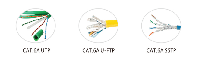 CAT6